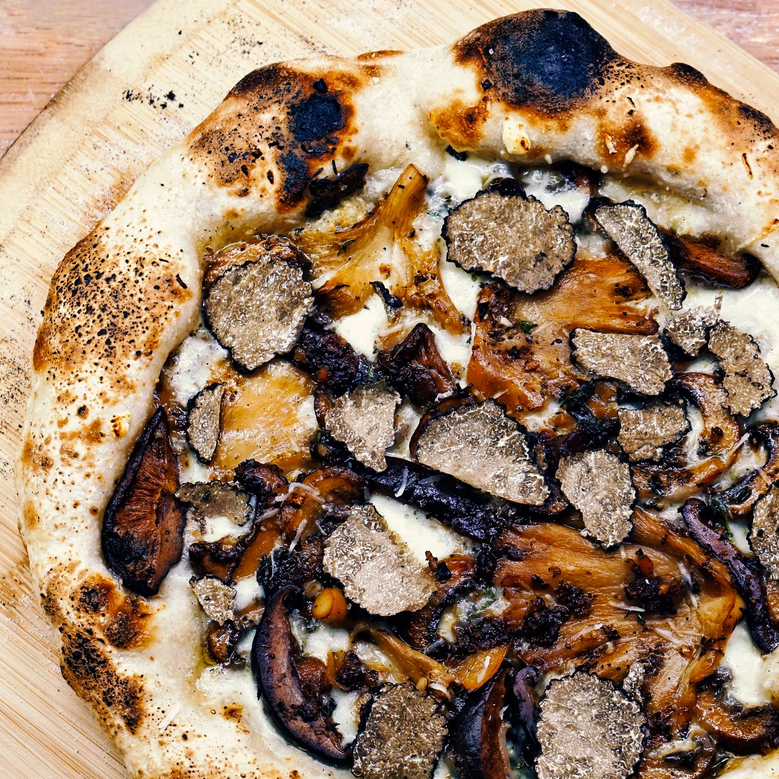 Pizza Funghi