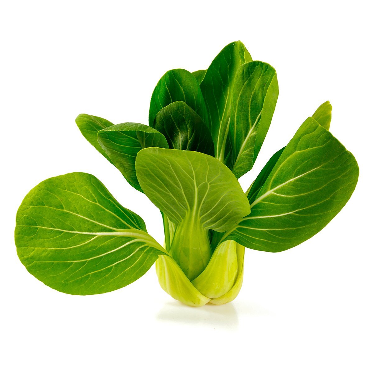 Pak Choi