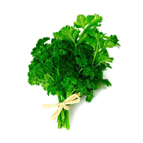 Flatleaf Parsley