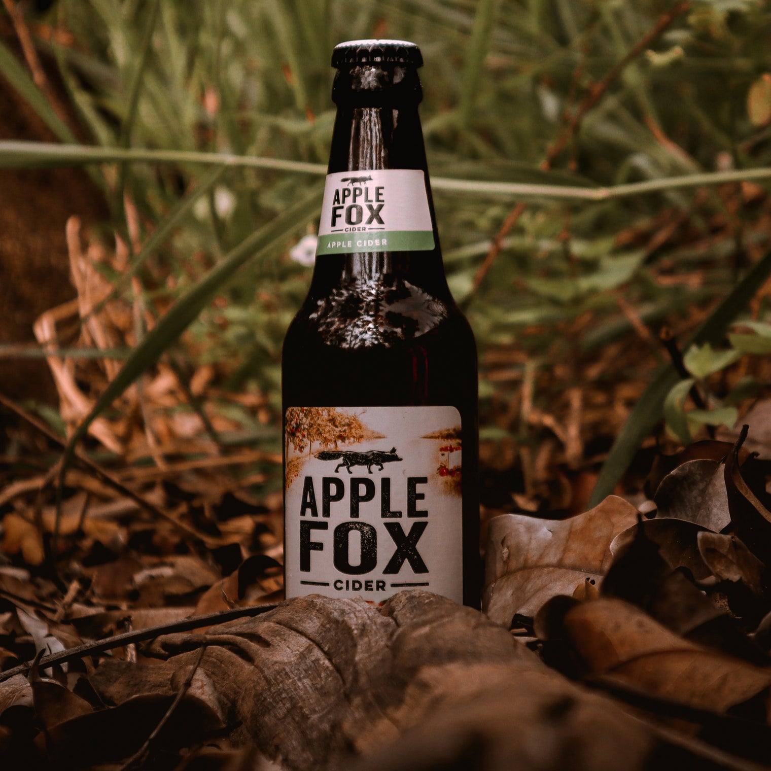 Fox Cider